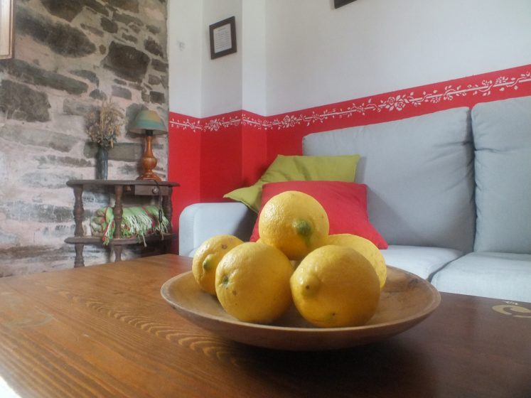 detalle limones apartamento