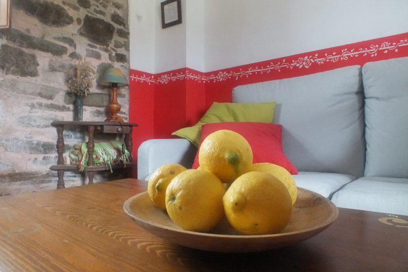 detalle limones apartamento